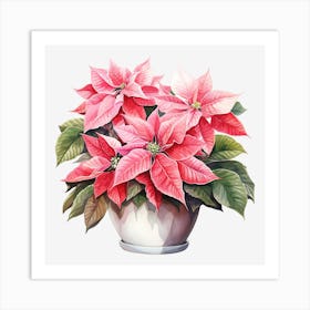 Poinsettia 35 Art Print