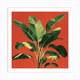 Banana Plant 3 Art Print