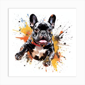 Frenchie Skydive Art By Csaba Fikker 004 Art Print