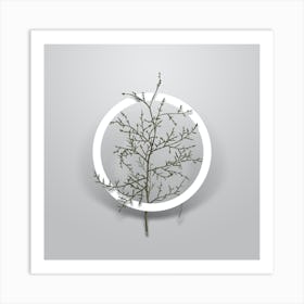 Vintage Sictus Tree Minimalist Botanical Geometric Circle on Soft Gray n.0005 Art Print