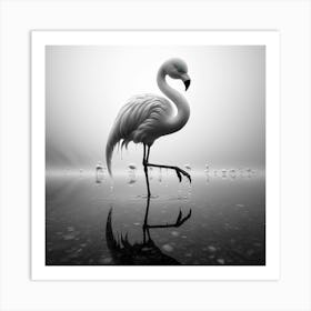 Flamingo Art Print