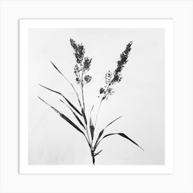 'Silver Grass' Art Print