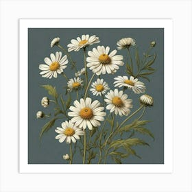 Chamomile Illustration Medical Botany Art Print 1 Art Print