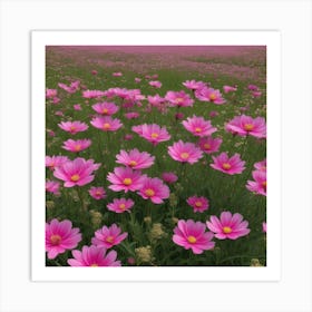 Pink Cosmos Art Print