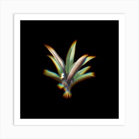 Prism Shift Boat Lily Botanical Illustration on Black n.0267 Art Print
