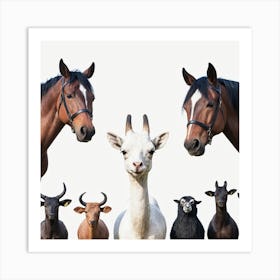 Group Of Horses And Goats 2 Art Print