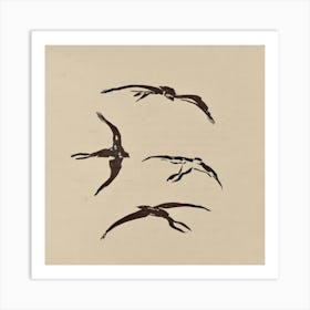 Birds In Flight Art Print