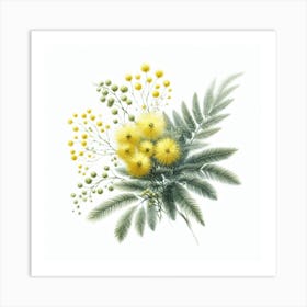 Flower of Mimosa 3 Art Print