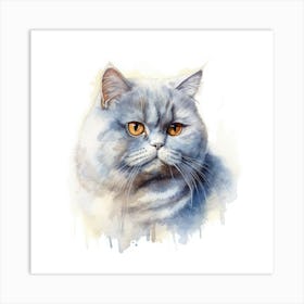 British Shorthair Persian Cat Portrait Art Print