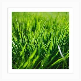 Green Grass Background 35 Art Print