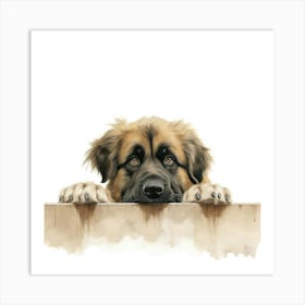 Belgian Shepherd Dog 1 Art Print