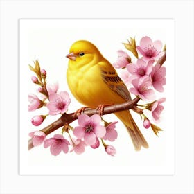 Canary 4 Art Print