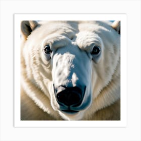 Polar Bear Art Print