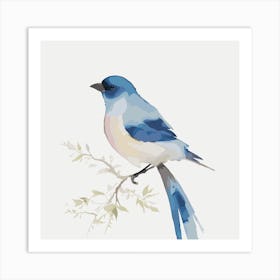 Blue Jay 1 Art Print