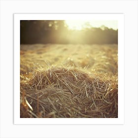 Hay Field Art Print