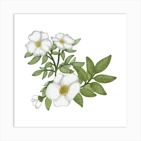 Wedding white flower Art Print