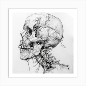 Skull Drawing 2 Art Print