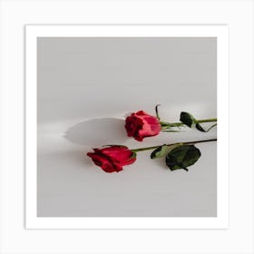 Roses Art Print