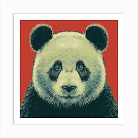 Panda Bear 4 Art Print