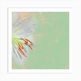 Lily Of The Valley 4 Art Print