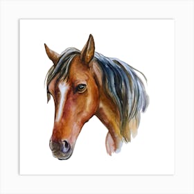 Watercolor Horse Head.uk Art Print