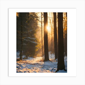 Sunrise In The Woods 1 Art Print