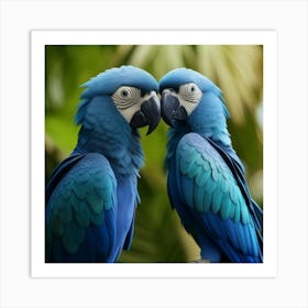 Blue Parrots Art Print