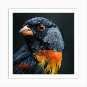 Close up of Exotic Bird Art Print