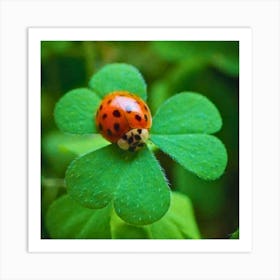 Ladybird on Clover Art Print