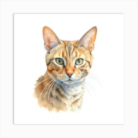 Cheetoh Cat Portrait 3 Art Print