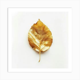 Golden Leaf On White Background Art Print