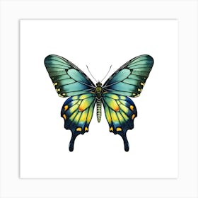 Butterfly Isolated On White Art Print