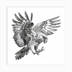 Eagle In Flight 1 Art Print