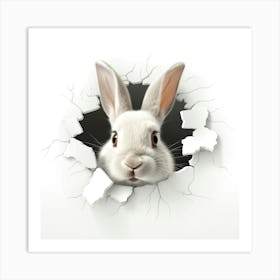 Rabbit Through A Hole Art Print