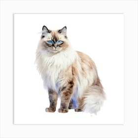 Cat With Blue Eyes Art Print