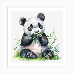 Panda Bear Art Print