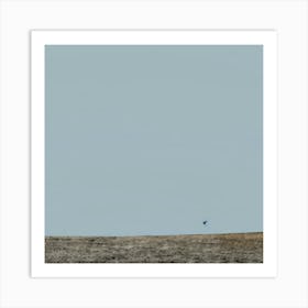 Bird In The Sky Art Print