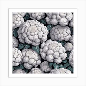 Cauliflowers Art Print