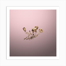 Gold Botanical Gillies Purslane Flower Branch on Rose Quartz n.3080 Art Print