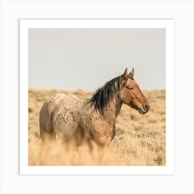 Bay Roan Wild Horse Square Art Print