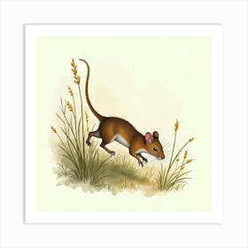 Rat In Grass 1 Art Print