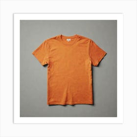 Orange Tee Shirt 1 Art Print