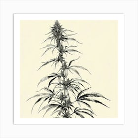 Cannabis Plant Art Print