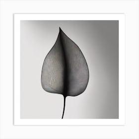 A Minimal Plant Leaf Black 2 Art Print