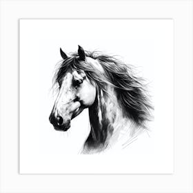 Horse Head Drawing Art Print