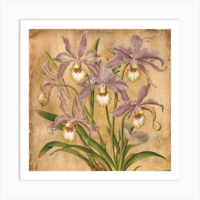 Orchids 1A stunning illustration featuring vintage orchids. Each orchid is intricately detailed, showcasing the delicate petals,vibrant colors, and intricate patterns that make them unique. Art Print