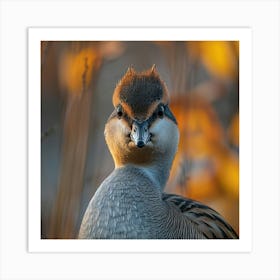 Portrait Of A Duck Art Print