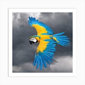 Parrot In Flight Art Print