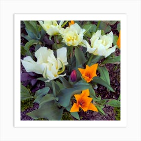 Tulips Art Print