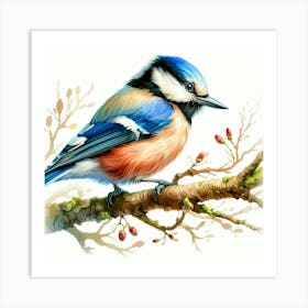 Blue Bird On Branch Art Print